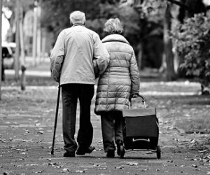 Seguridad Social, subvenciones para andadores de ancianos