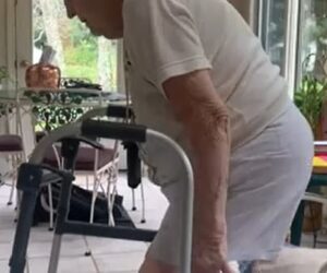 Ejercicios de Gimnasia con Andador para Personas Mayores